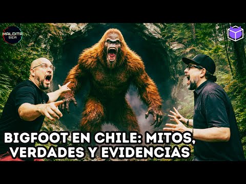 BIGFOOT EN CHILE: MITOS, VERDADES Y EVIDENCIAS / MALDITA SEA