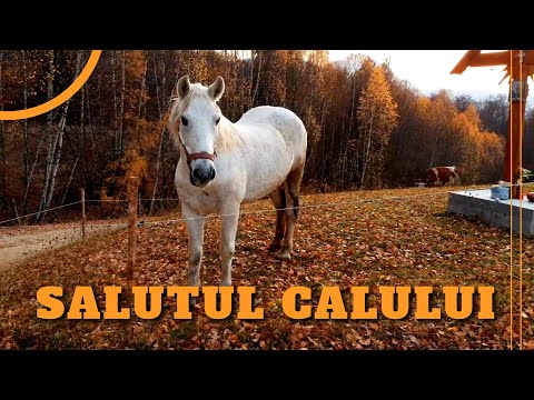 Traseu in Muntii Persani: Dealurile de langa Zarnesti