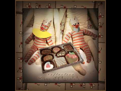 05 Reflection - Chocolate Swamp