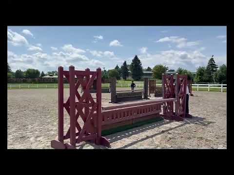 Primrose video 2