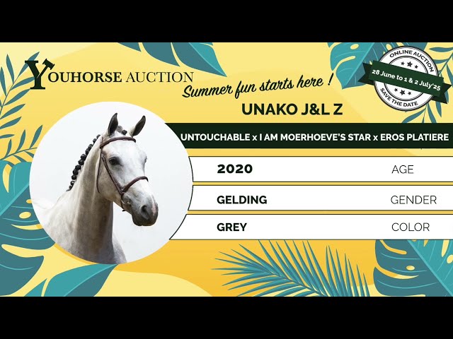 Unako J&L Z flatwork