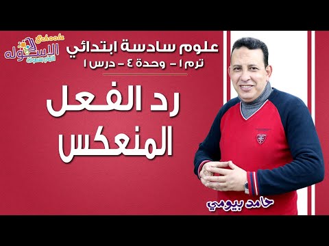 تفسير رد الفعل المنعكس | علوم سادسة ابتدائي 2019 |  تيرم1 - وح4- در1| الاسكوله