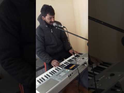 Patru din cintei doina