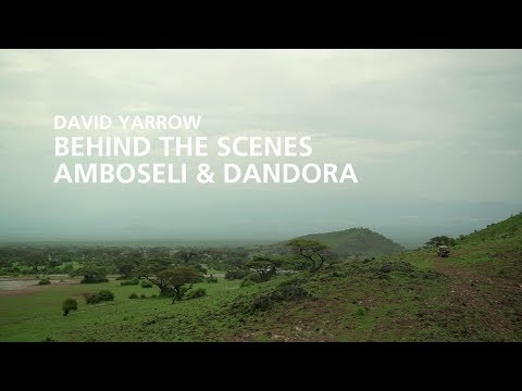 David Yarrow | Amboseli & Dandora Tras las cámaras