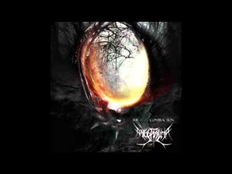 The Foetal Mind - The Collapse