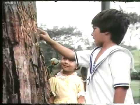 1986: Britannia Milk Bikis