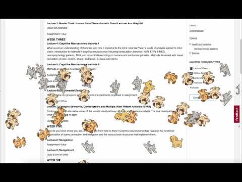 Item video thumbnail