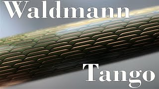 Waldmann Tango Imagination