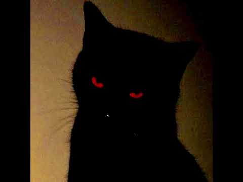 COLLIDE x HOLD YUH _tiktok_remix