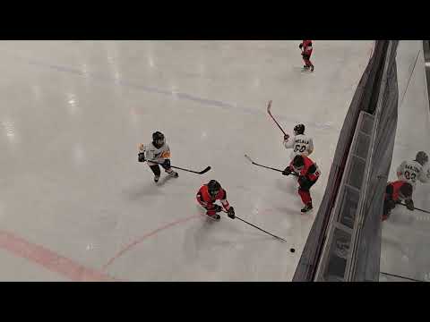 Kárpáti Farkasok-DHK U12 1.HARMAD 2024_01_13