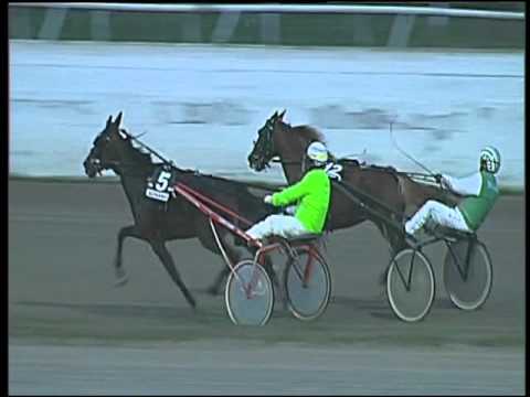 Trotto 01/10/2015 - 7° corsa