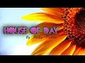 RUFUS - Innerbloom Original Mix 