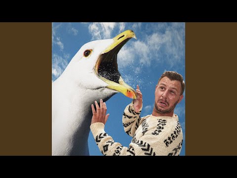 Mávar - FM95BLÖ