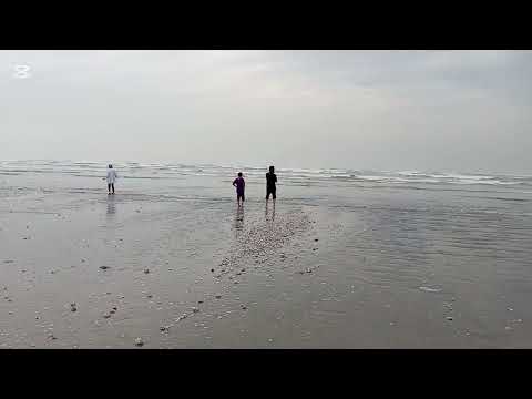 Sea view visit with Nature with Maroof ♥️♥️♥️