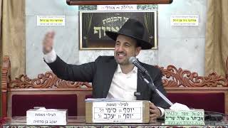 הרב מאיר אליהו | פרשת עקב | מוסאיוף - ה'תשפ"ה (הרב מאיר אליהו) - התמונה מוצגת ישירות מתוך אתר האינטרנט יוטיוב. זכויות היוצרים בתמונה שייכות ליוצרה. קישור קרדיט למקור התוכן נמצא בתוך דף הסרטון