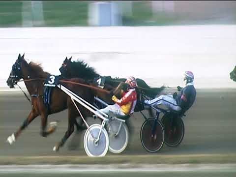 Trotto 18/01/2019 - 3ª corsa