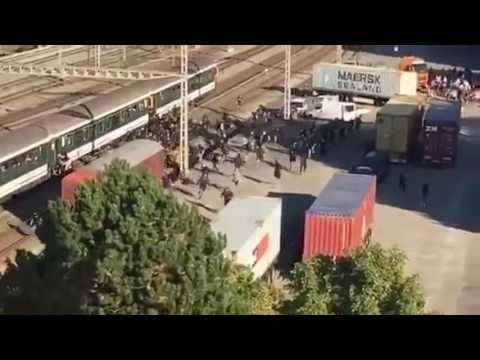 FC Basel (white) vs Grasshopper Zürich (Black) Swiss Hooligans Fight