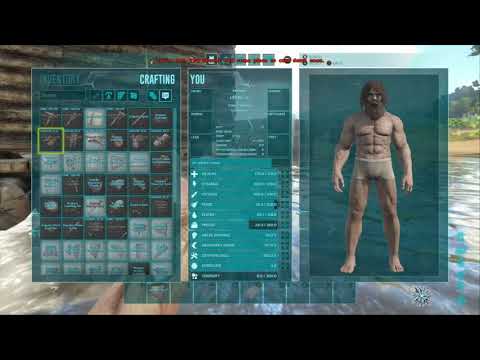 How to build a Taming Raft - ARK