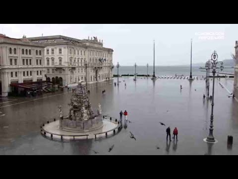 Trieste in ogni cuore - Documentario