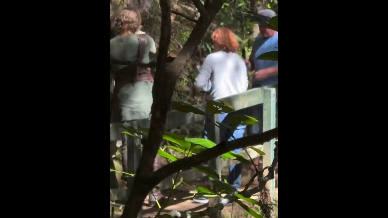 YouTube video: YouTube video player