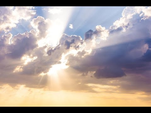 Sweet & Good Torah - Parsha Shemini - The Shechinah of Hashem only Lives with One Nation