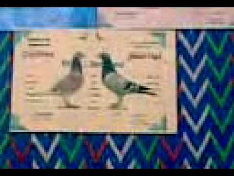 Etape : vitesse adil nakach saion sportive 2008/2007