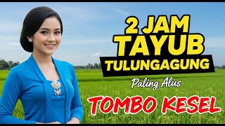 Download lagu TAYUB TULUNGAGUNG Asli | Irama Khas Jawa Timur yang Bikin LELAH HILANG mp3