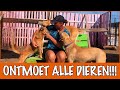 Wat doet Pippi's opvang voor dieren in nood?! | DierenpraatTV