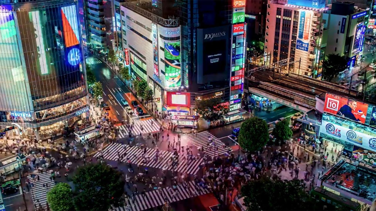 Our role in decarbonisation