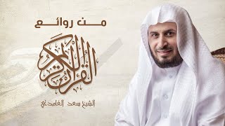 سورة البقرة مكررة الشيخ سعد الغامدي بدون اعلانات بصوت هادئ مباشر
