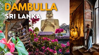 Visiting STUNNING Dambulla Cave Temple & Treehouse Stay | SRI LANKA SERIES