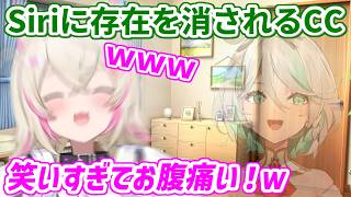セシリアのおバカな行動に笑いが止まらなくなるモコちゃん【ホロライブ切り抜き/フワモコ/セシリア・イマーグリーン】