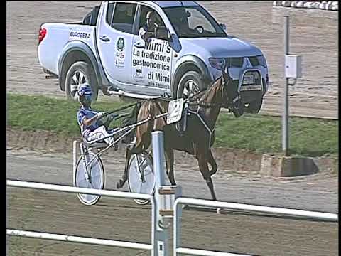 Trotto 22/09/2017 - 2ª corsa