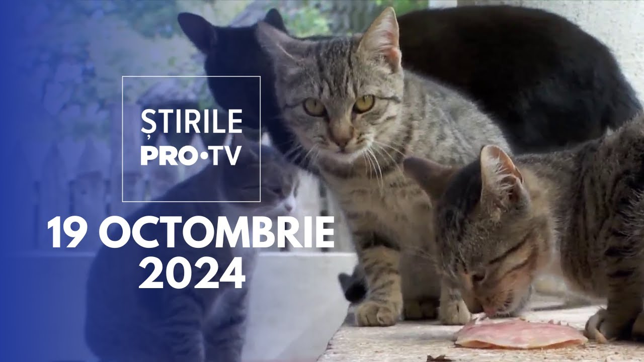 Știrile PRO TV - 19 Octombrie 2024