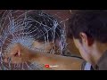 Whatsapp Status Kovam Veruppu Depression Tension Angry