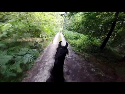 GoPro Trail riding[Never let me down again - Depeche Mode]
