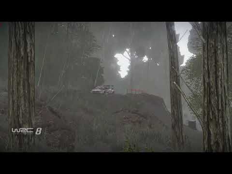 WRC 8 - CHILE - VOLKSWAGEN POLO  R5