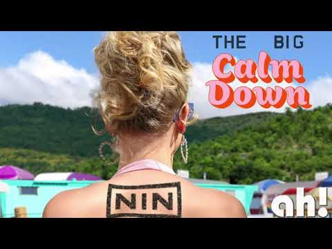 "The Big Calm Down" - Taylor Swift vs Nine Inch Nails Mashup by ah!