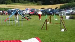 preview picture of video 'Agility St. Margarethen 08 - Grom - a'