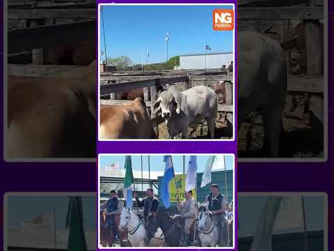 95° EXPO RURAL DE MARGARITA BELÉN: “ESTAMOS CONTENTOS CON EL ACOMPAÑAMIENTO”