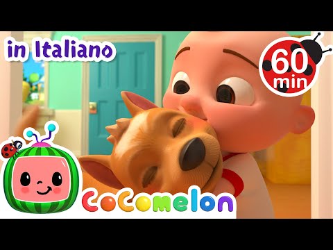 Arriva Bingo | CoComelon Italiano - Canzoni per Bambini
