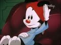 Animaniacs Dr Scratchansniff Interviews The Warners Polish