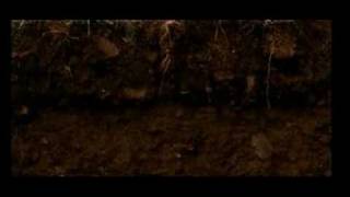 Odgrobadogroba - di tomba in tomba