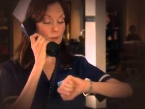 2 Wunder Hunde   Das Märchen geht weiter!