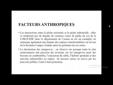 MSProadmap / CAMEROUN - Présentation de Privat Arsene Tabet Nana