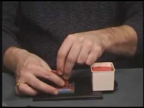 Little Man - By Paul Harris