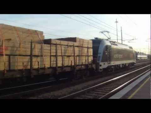 E190.025 Taurus World Record a treviso