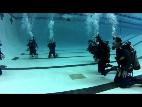 download lagu mp3 mp4 Scuba Diving Classes Miami, download lagu Scuba Diving Classes Miami gratis, unduh video klip Scuba Diving Classes Miami