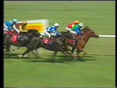 1991 Krug Superlative Stakes