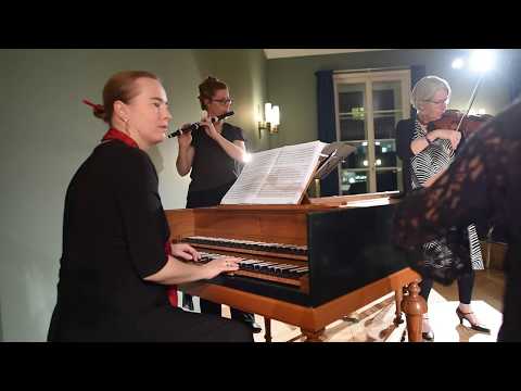 Mit Telemann nach Paris - Konzert im Literaturhaus Frankfurt - Kleine Kammermusik Frankfurt
